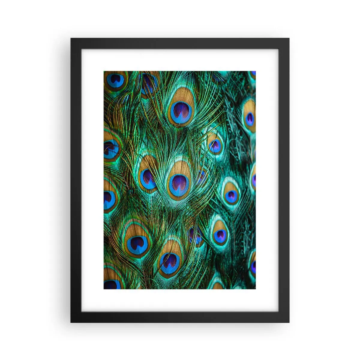 Plakat w czarnej ramie - Pawiookie spojrzenie - 30x40 cm