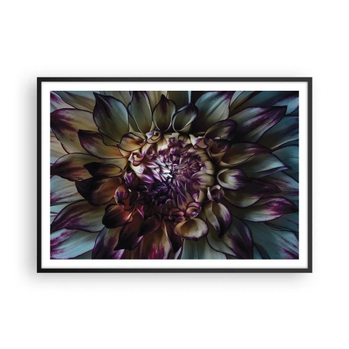 Plakat w czarnej ramie - Zbliżenie na kwiat dalii w ciemnych tonach - 100x70cm - Rozkwit młodości - Nowoczesna dekoracja ścienna do salonu i sypialni ARTTOR