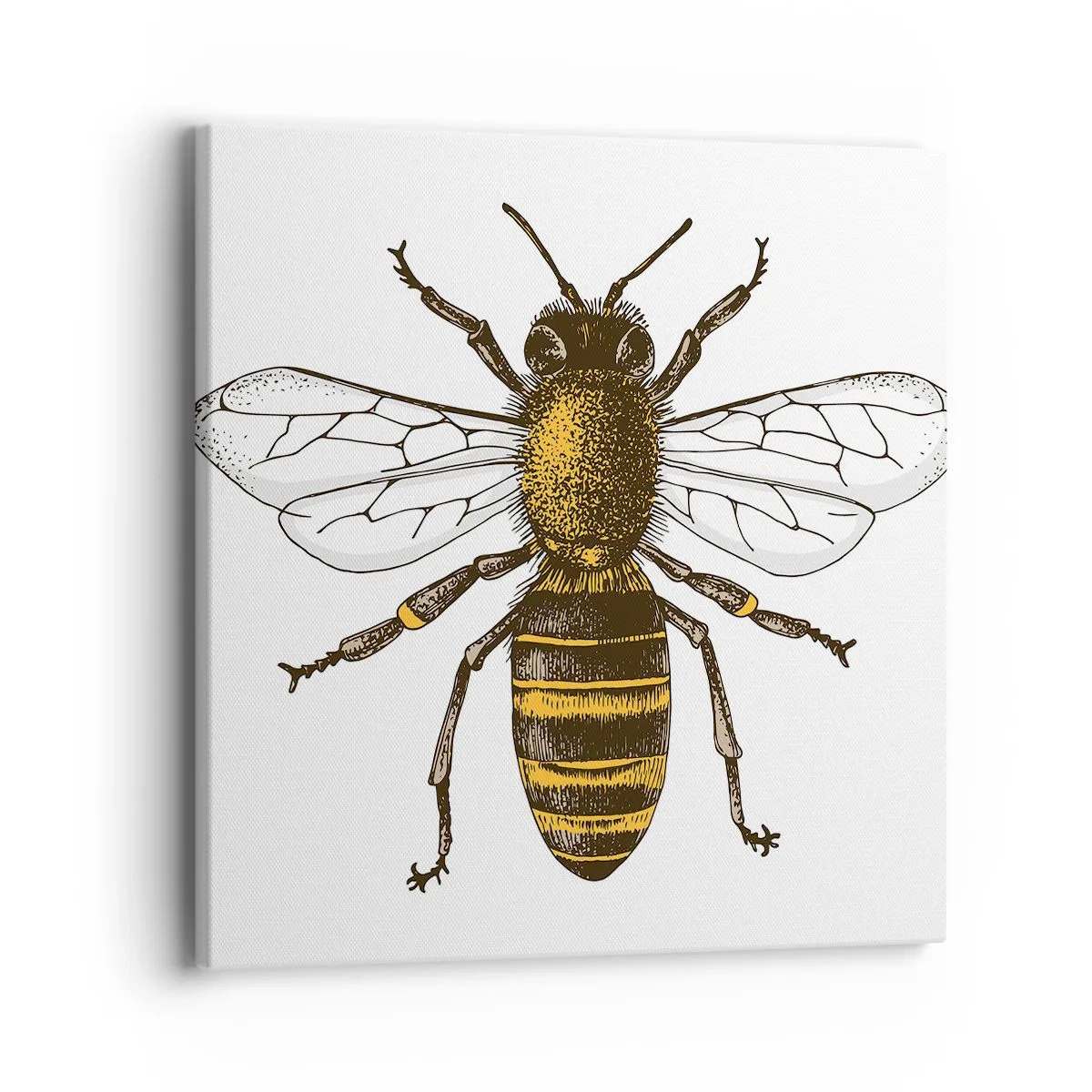 Obraz na płótnie - Piękna i dobra - 40x40 cm