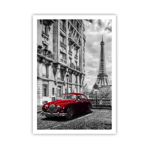 Plakat - Drapieżnik w mieście - 70x100 cm