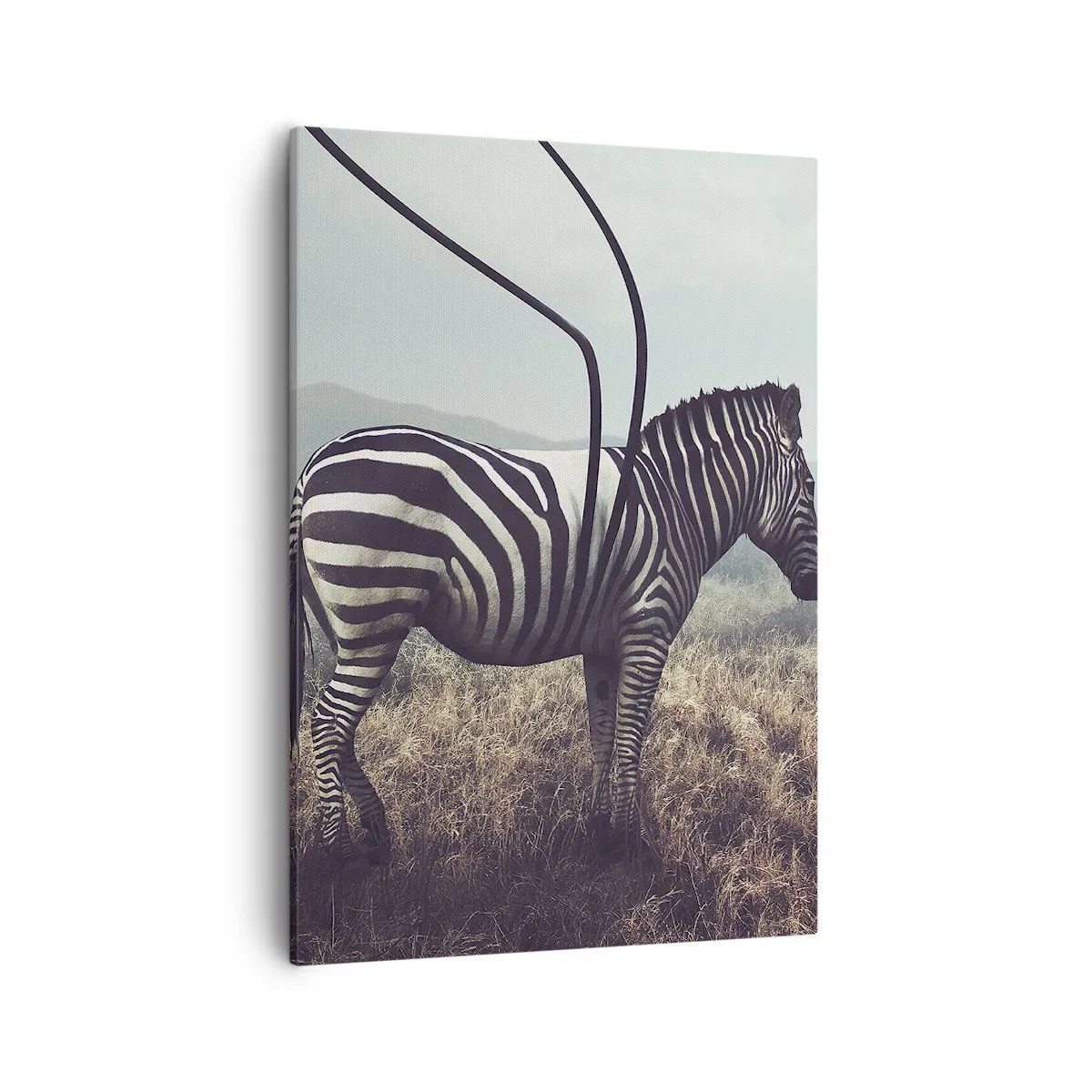 Obraz na płótnie - Surrealistyczna zebra z wydłużonymi czarnymi pasami na tle sawanny - 50x70cm - Uwaga! Usterka - Nowoczesna dekoracja ścienna do salonu, kuchni i sypialni ARTTOR