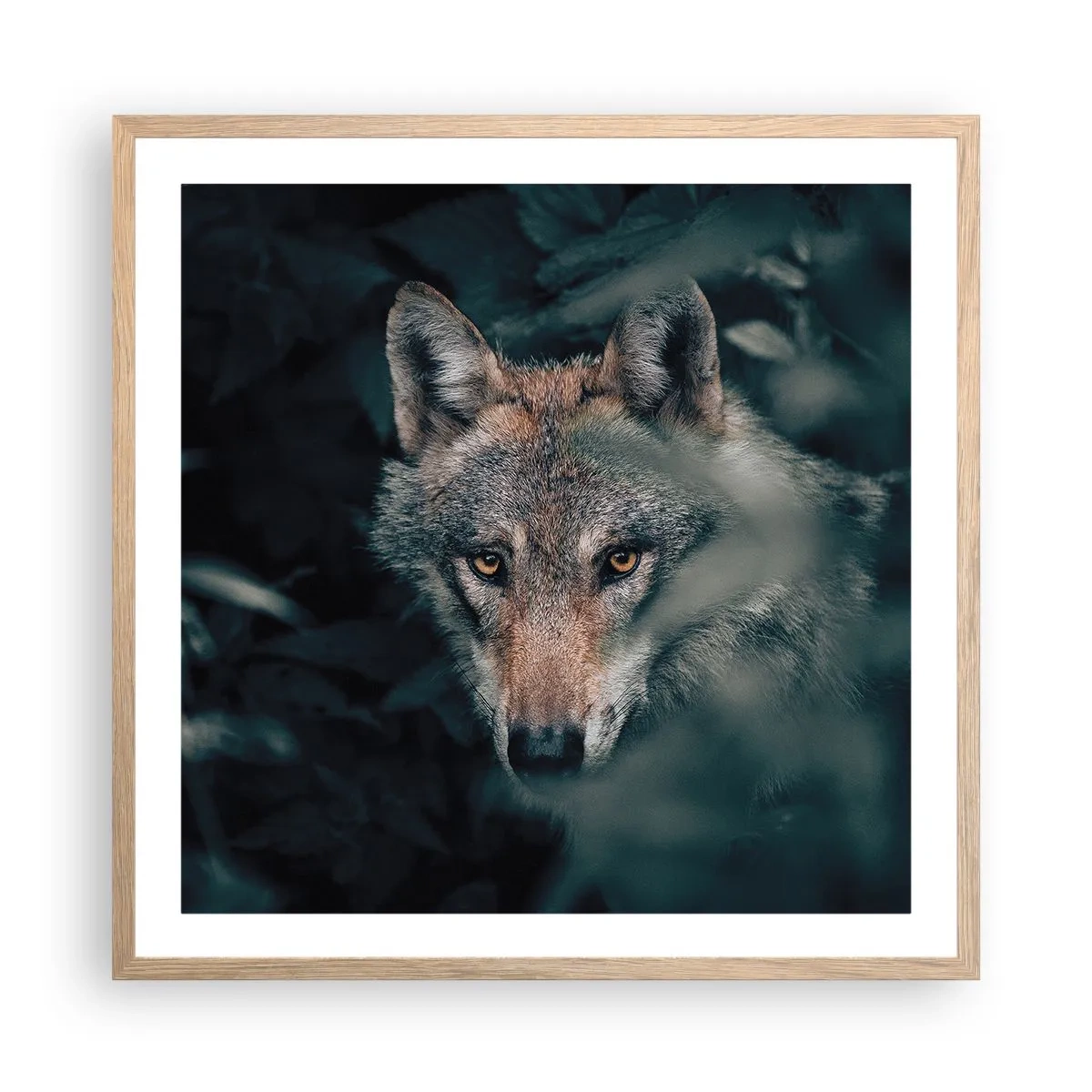 Plakat w ramie jasny dąb - Łowca - 60x60 cm