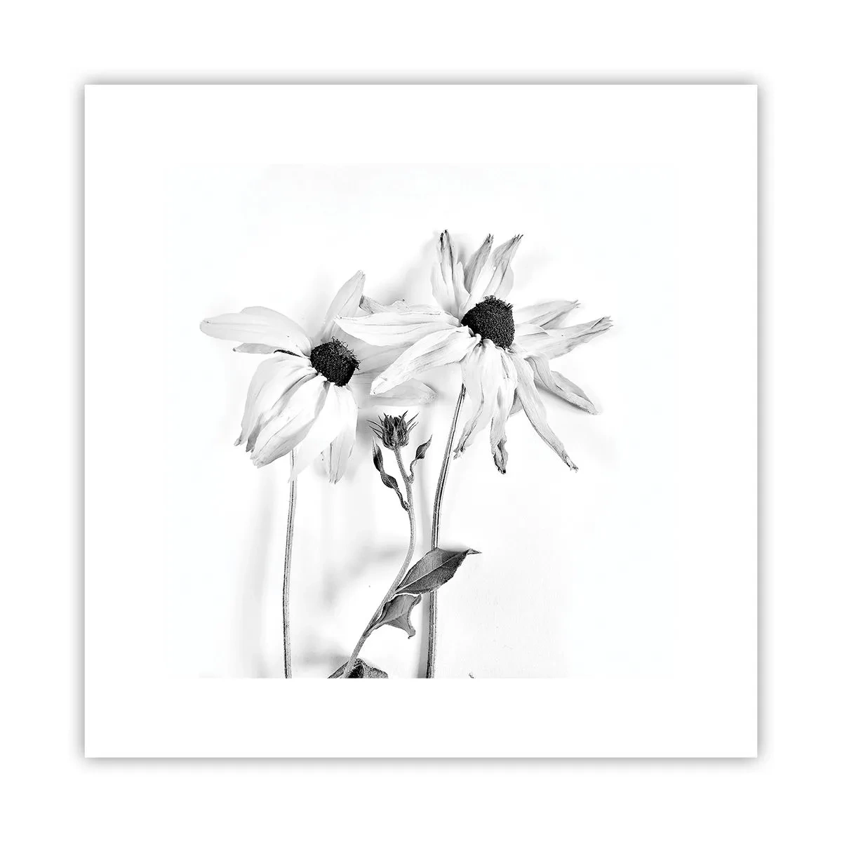 Plakat - Nikt nie chce być sam - 30x30 cm