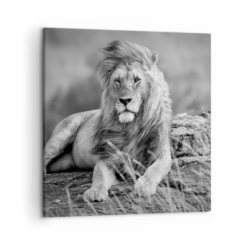 Obraz na płótnie - Królewska sjesta - 50x50 cm