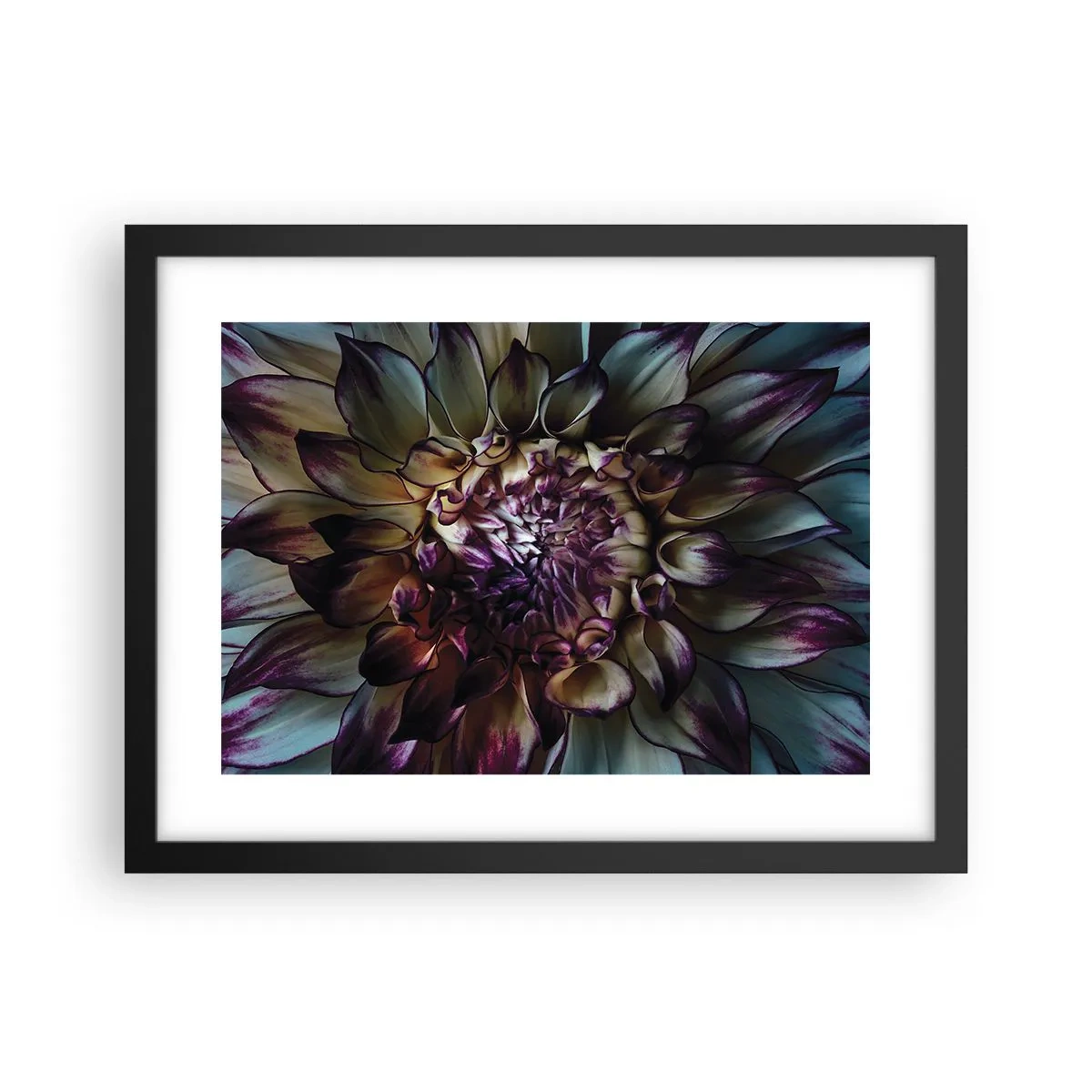 Plakat w czarnej ramie - Rozkwit młodości - 40x30 cm