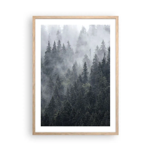 Plakat w ramie jasny dąb - Leśny świt - 50x70 cm