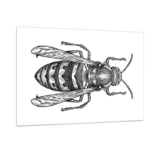 Obraz na szkle - Czarno-biała ilustracja osy w stylu retro na białym tle - 120x80cm - Z owadziej planety - Nowoczesna dekoracja ścienna do salonu, kuchni i sypialni ARTTOR