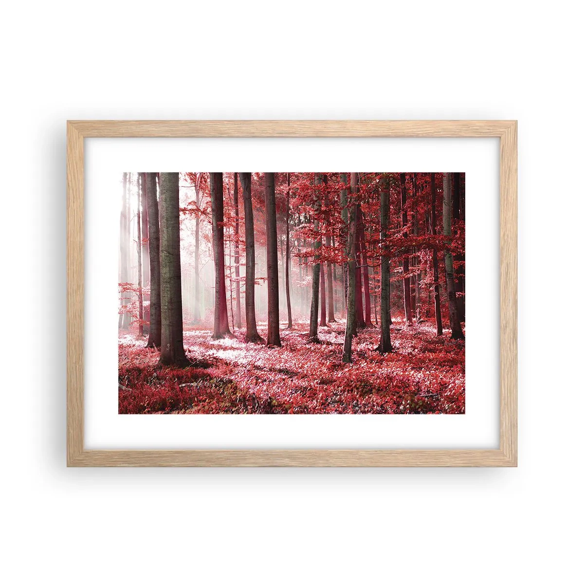 Plakat w ramie jasny dąb - Czerwony równie piękny - 40x30 cm