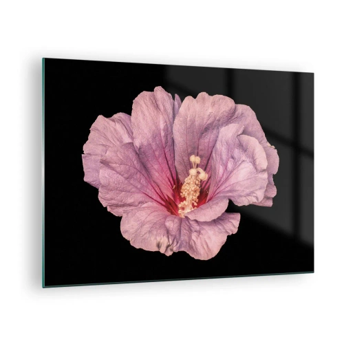 Obraz na szkle - Zbliżenie na różowy kwiat hibiskusa na tle czarnego tła - 70x50cm - Prosto do serca - Nowoczesna dekoracja ścienna do salonu i sypialni ARTTOR