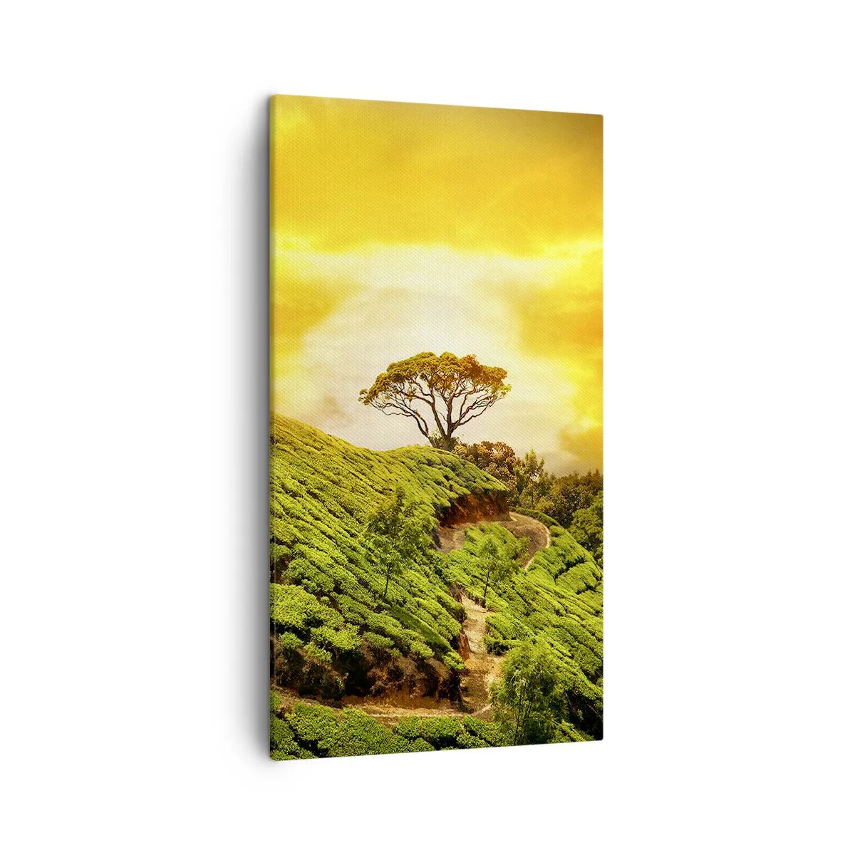 Obraz na płótnie - Krętą ścieżką, zielonym zboczem - 45x80 cm