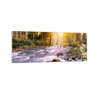 Obraz na szkle - Leśny strumień oświetlony promieniami słońca - 140x50cm - Malachit w srebrno-złotej oprawie - Nowoczesna dekoracja ścienna do salonu i sypialni ARTTOR
