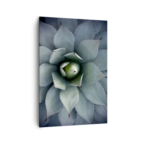 Obraz na płótnie - Zbliżenie na rozetę agawy w delikatnych odcieniach zieleni - 70x100cm - Wabi i przestrzega - Nowoczesna dekoracja ścienna do salonu i sypialni ARTTOR