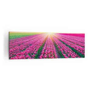 Obraz na płótnie - Pole tulipanów o zachodzie słońca - 160x50cm - Farma piękności - Nowoczesna dekoracja ścienna do salonu i sypialni ARTTOR