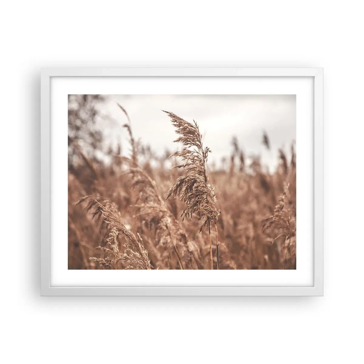 Plakat w białej ramie - Na polach już jesień - 50x40 cm