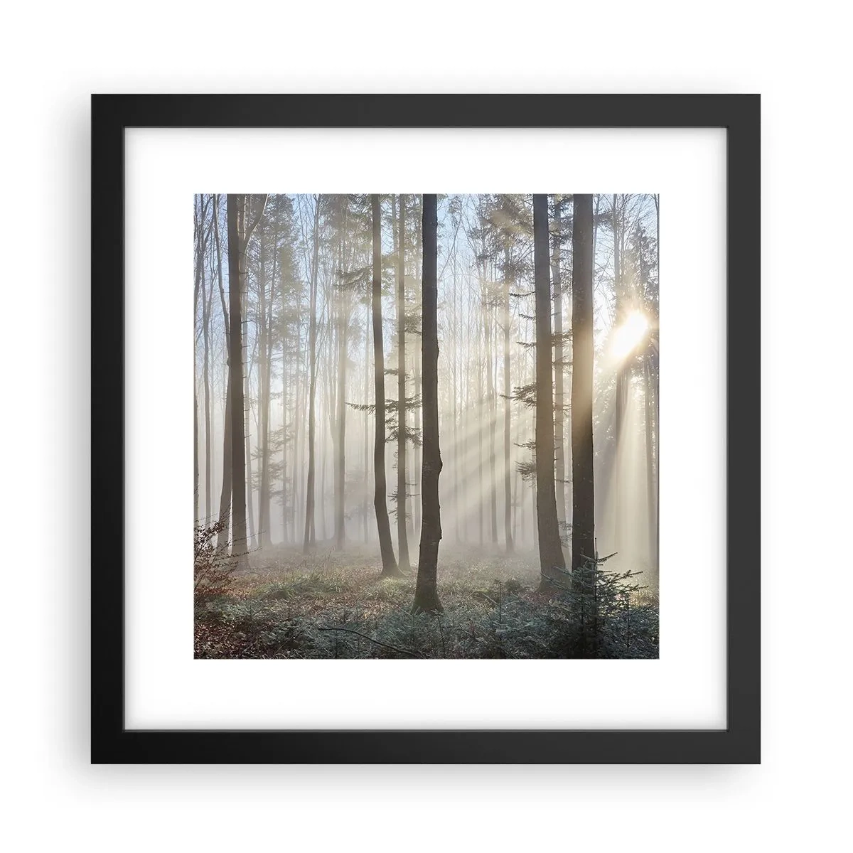 Plakat w czarnej ramie - Mgła też się zbudziła - 30x30 cm