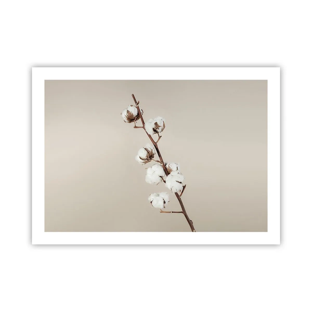 Plakat - U źródła miękkości - 70x50 cm