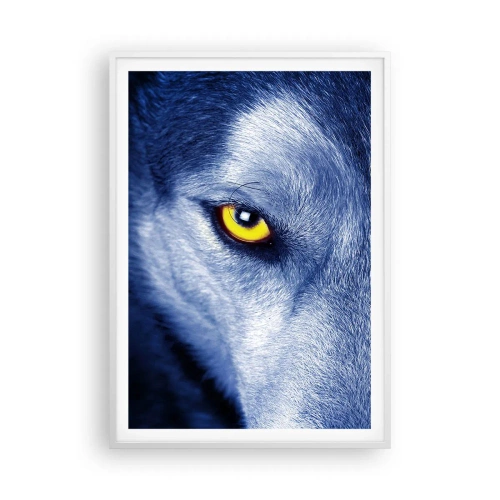Plakat w białej ramie - Hipnotyzujące spojrzenie - 70x100 cm