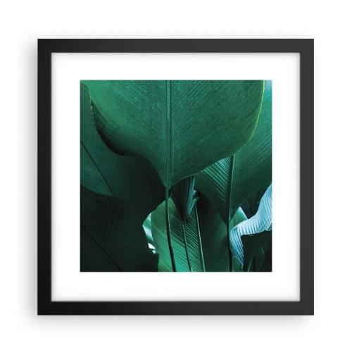 Plakat w czarnej ramie - Zwrócone do światła - 30x30 cm