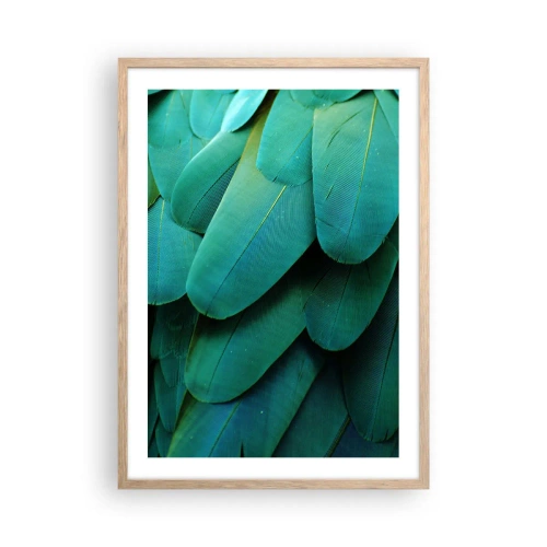 Plakat w ramie jasny dąb - Precyzja papuziej natury - 50x70 cm