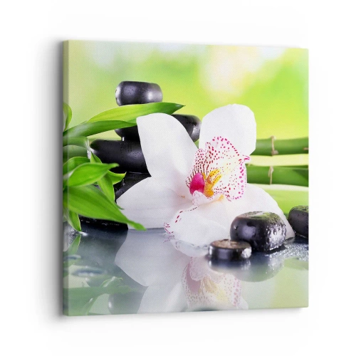 Obraz na płótnie - Chłodna świeżość - 30x30 cm