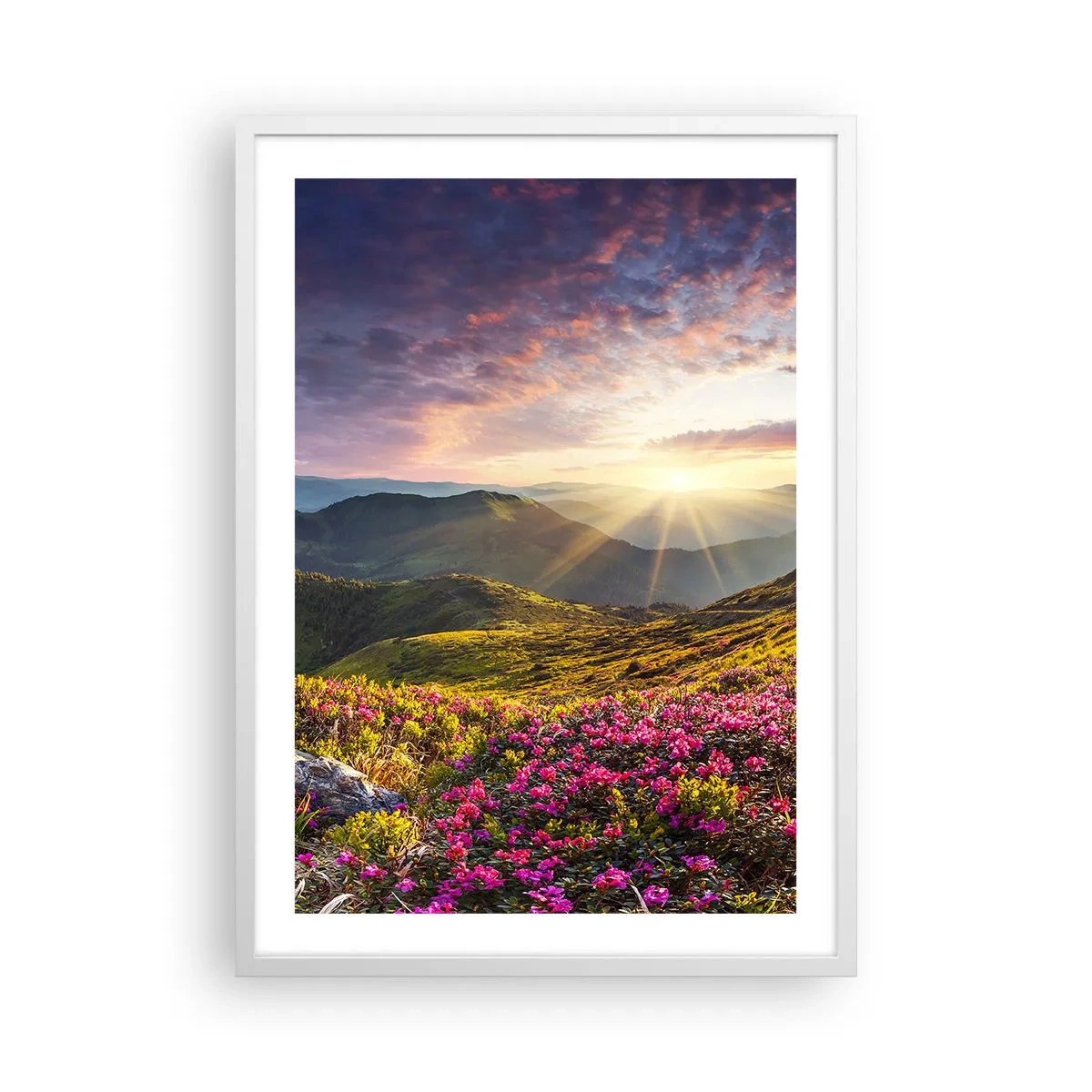 Plakat w białej ramie - Świeżość górskiego poranka - 50x70 cm