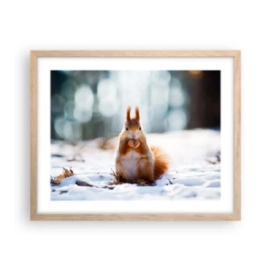 Plakat w ramie jasny dąb - I co tak patrzysz? - 50x40 cm