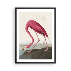 Plakat w czarnej ramie - Różowy flaming na tle naturalnego krajobrazu - 50x70cm - Zadziwiające stworzenie - Nowoczesna dekoracja ścienna do salonu i sypialni ARTTOR