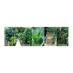 Fototapeta Próbka Standard Eco - Welcome to the jungle! - Krajobraz, Dżungla, Honduras - 100x30 cm