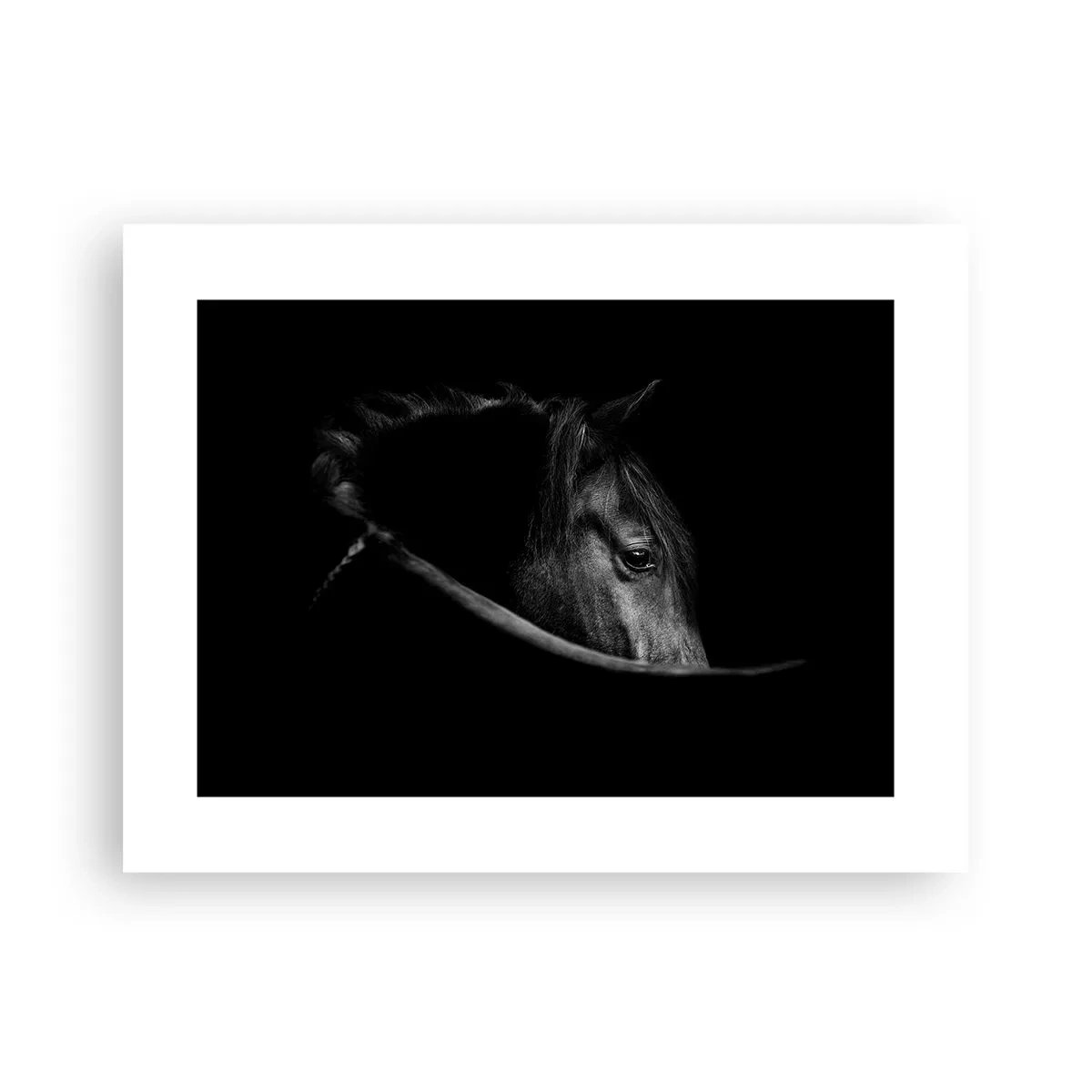 Plakat - Czarny książę - 40x30 cm