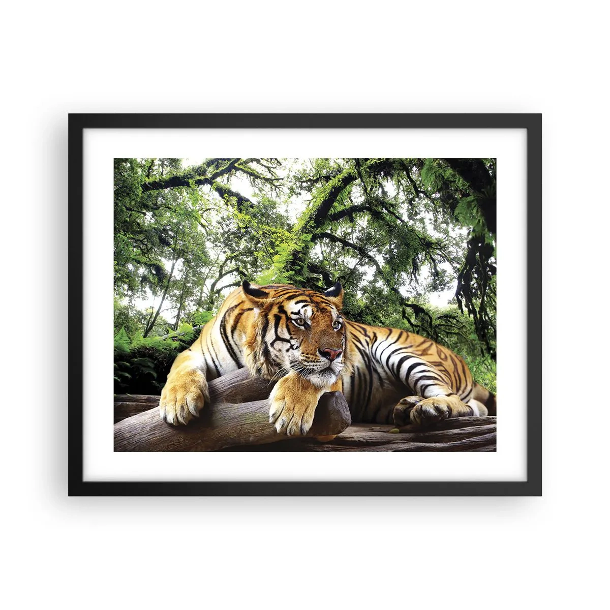 Plakat w czarnej ramie - Z wyrazami szacunku - 50x40 cm