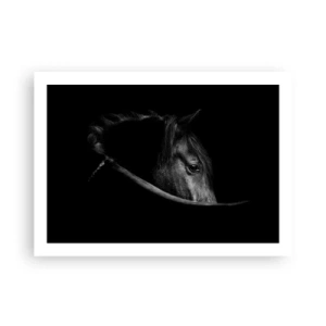 Plakat - Czarny książę - 70x50 cm