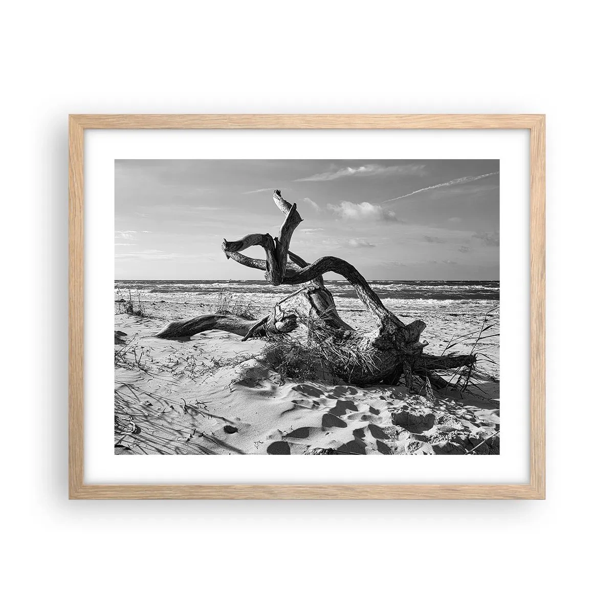 Plakat w ramie jasny dąb - Morska rzeźba - 50x40 cm