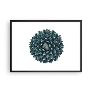 Plakat w czarnej ramie - Symetryczna roślina sukulenta na białym tle - 70x50cm - Gwiazda pustyni - Nowoczesna dekoracja ścienna do salonu i sypialni ARTTOR
