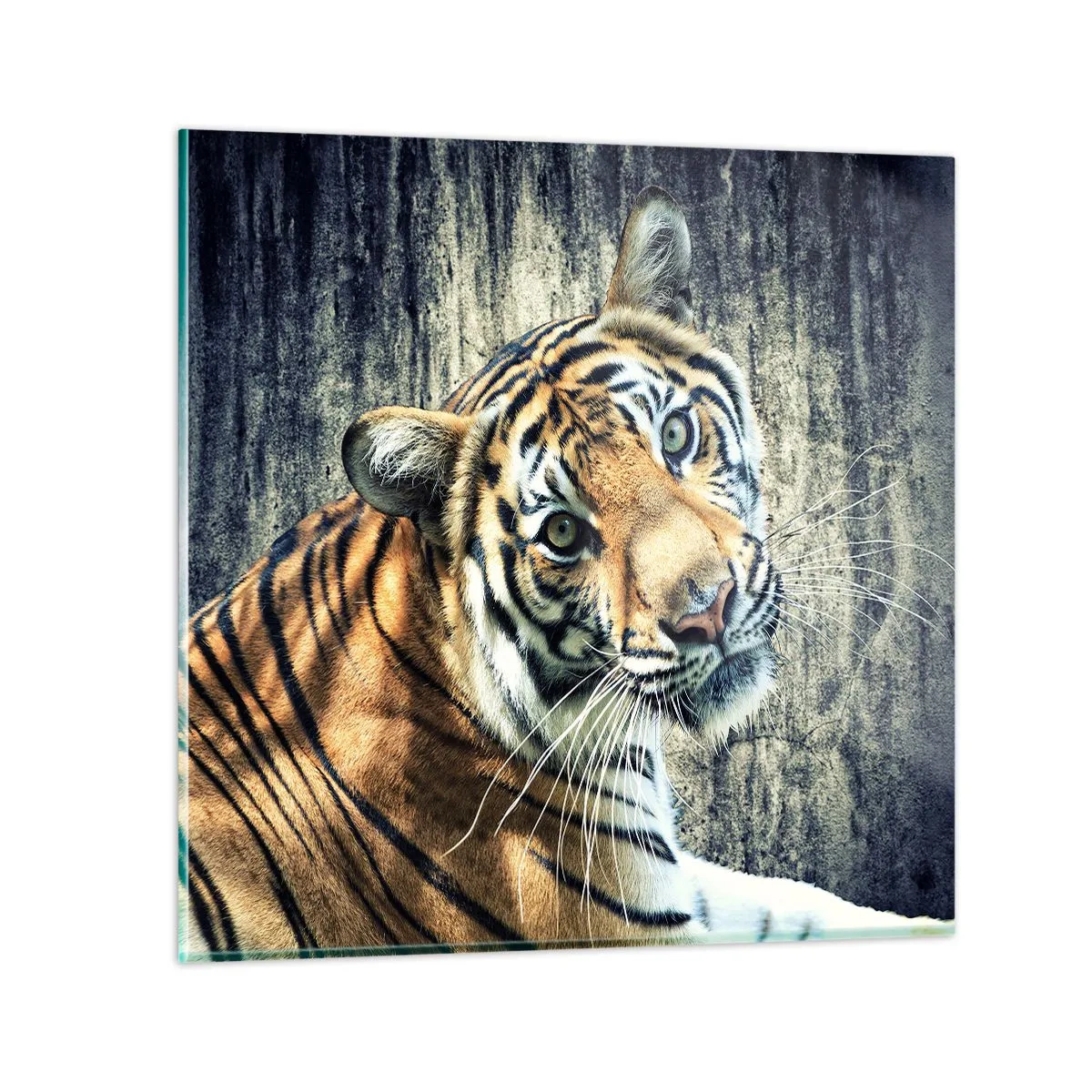 Obraz na szkle - Portret w strugach światła - 60x60 cm