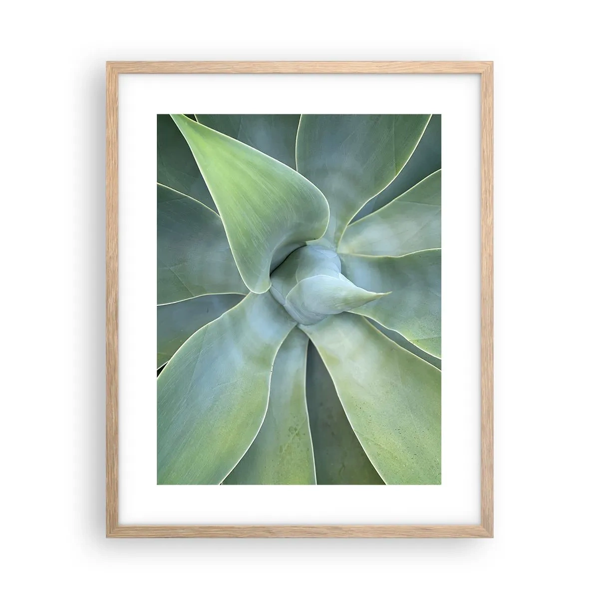 Plakat w ramie jasny dąb - Narodziny zieleni - 40x50 cm