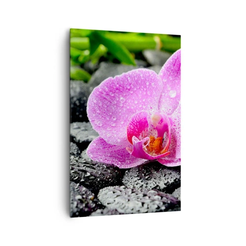 Obraz na płótnie - Różowa orchidea na mokrych czarnych kamieniach z zielonymi liśćmi - 80x120cm - Jak otwarte serce - Nowoczesna dekoracja ścienna do salonu i sypialni ARTTOR