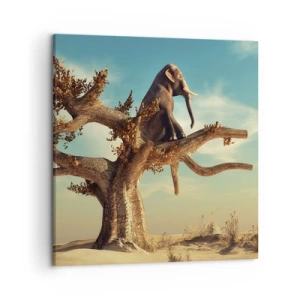 Obraz na płótnie - Nowy punkt widzenia - 50x50 cm