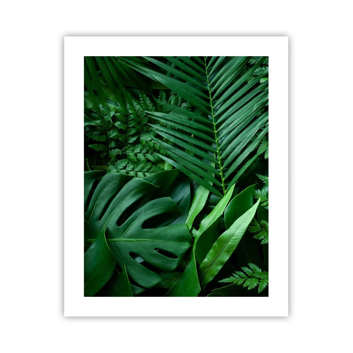 Plakat - Utulone w zieleni - 40x50 cm