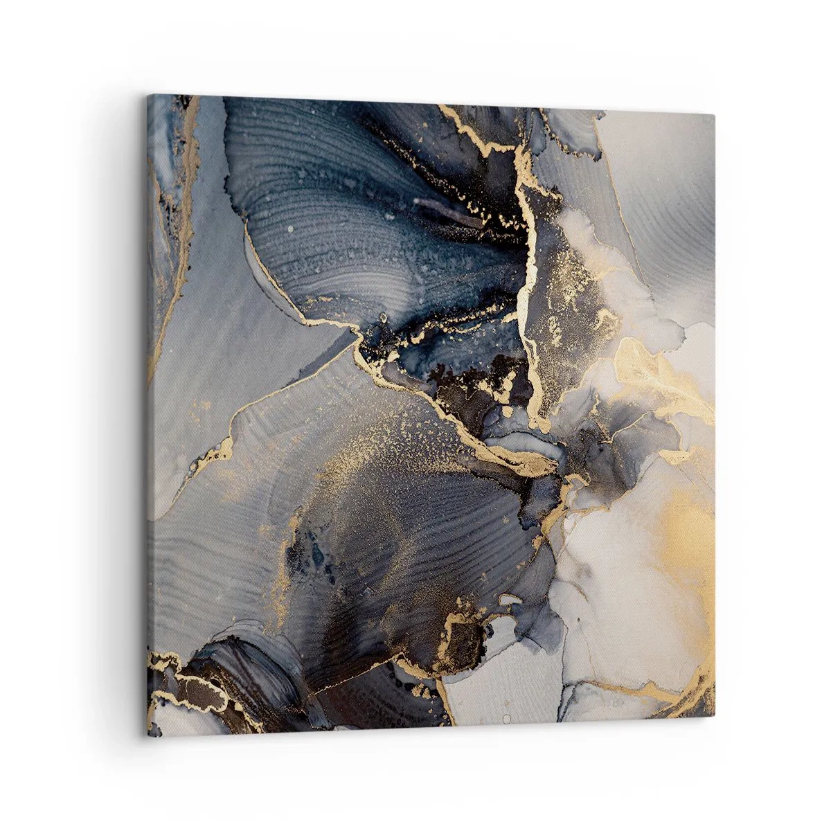 Obraz na płótnie - Życie kamienia - 50x50 cm