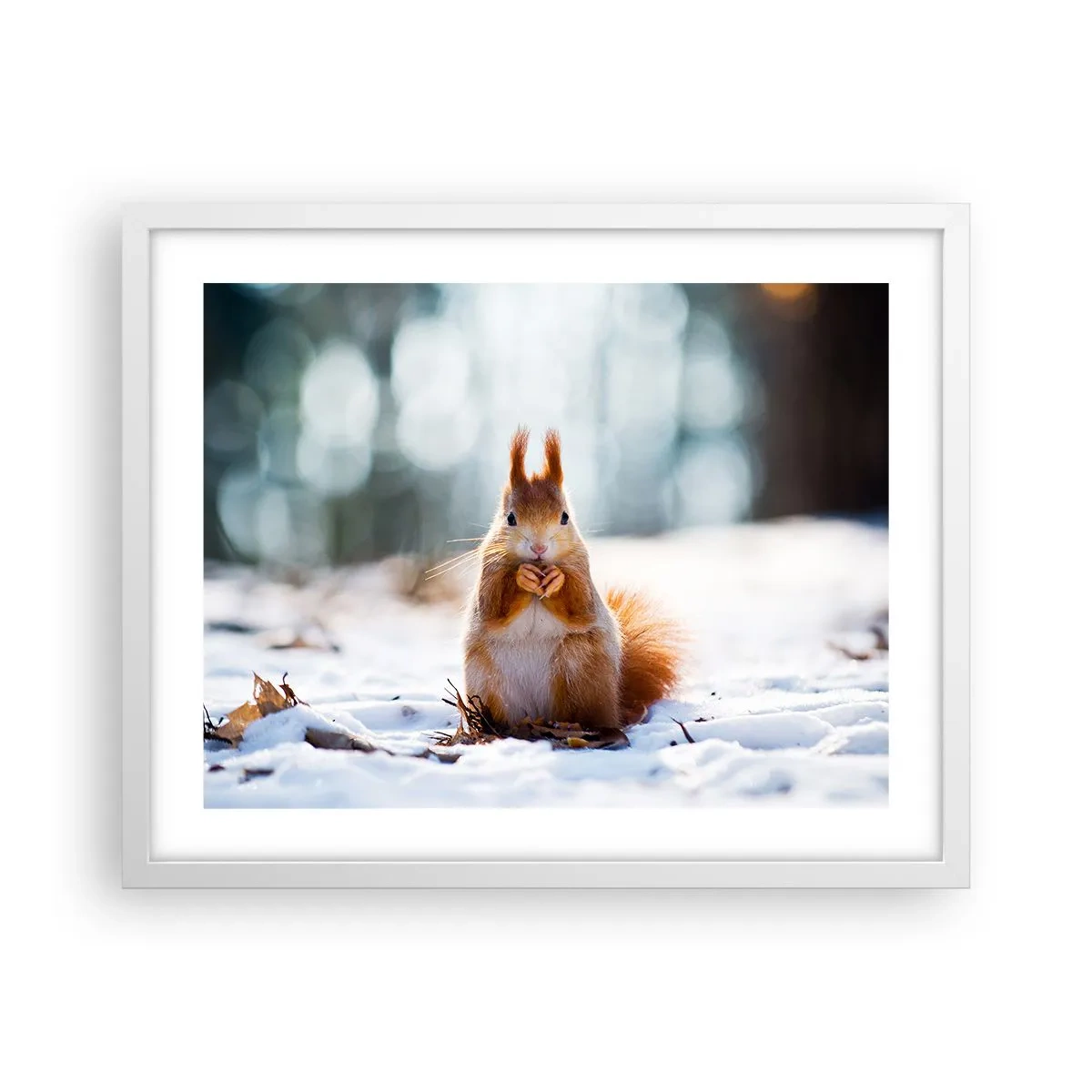 Plakat w białej ramie - I co tak patrzysz? - 50x40 cm