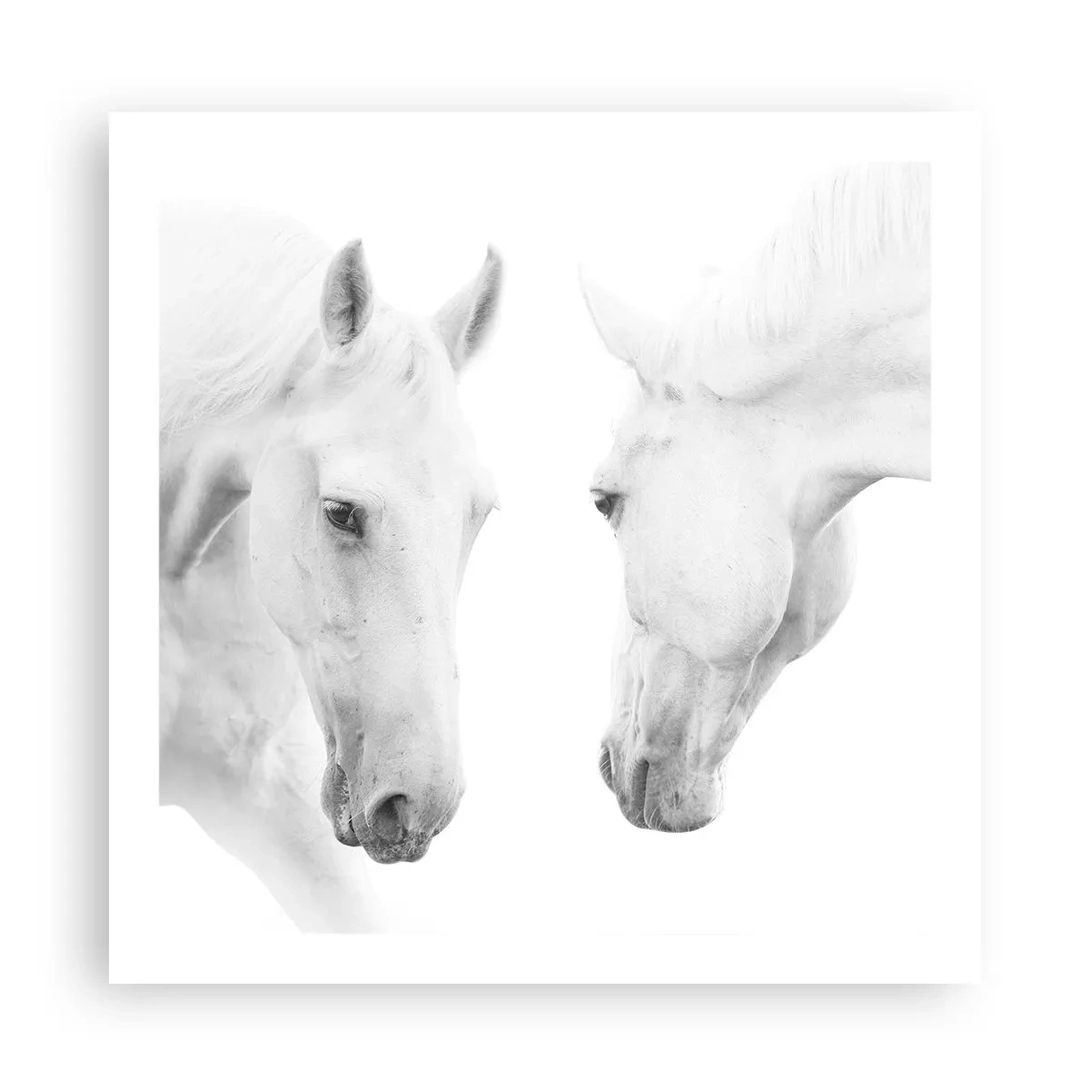 Plakat - Czy to jest przyjaźń…? - 60x60 cm