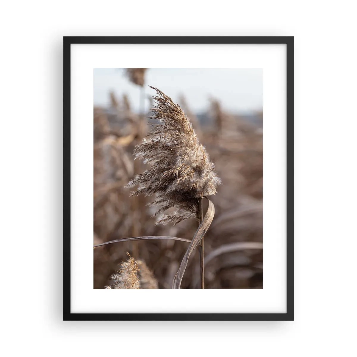 Plakat w czarnej ramie - Czas odlecieć z wiatrem - 40x50 cm