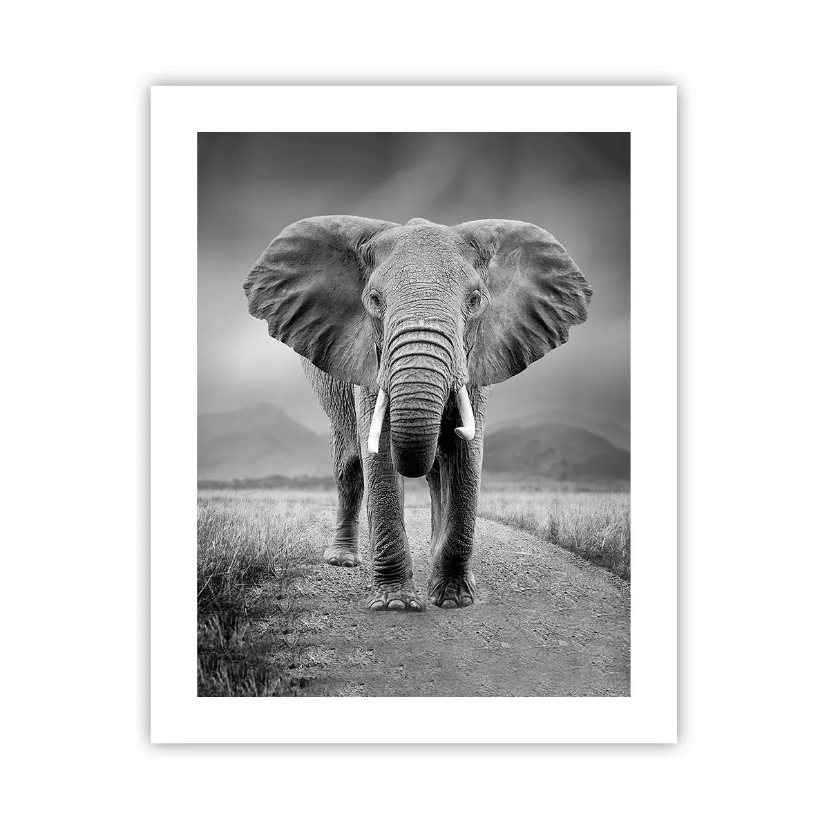 Plakat - Gospodarz wita - 40x50 cm