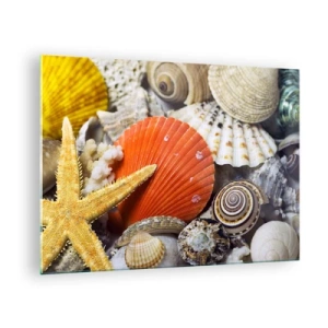 Obraz na szkle - Kolorowe muszle i rozgwiazda w morskiej kompozycji - 70x50cm - Skarby oceanu - Nowoczesna dekoracja ścienna do salonu i sypialni ARTTOR