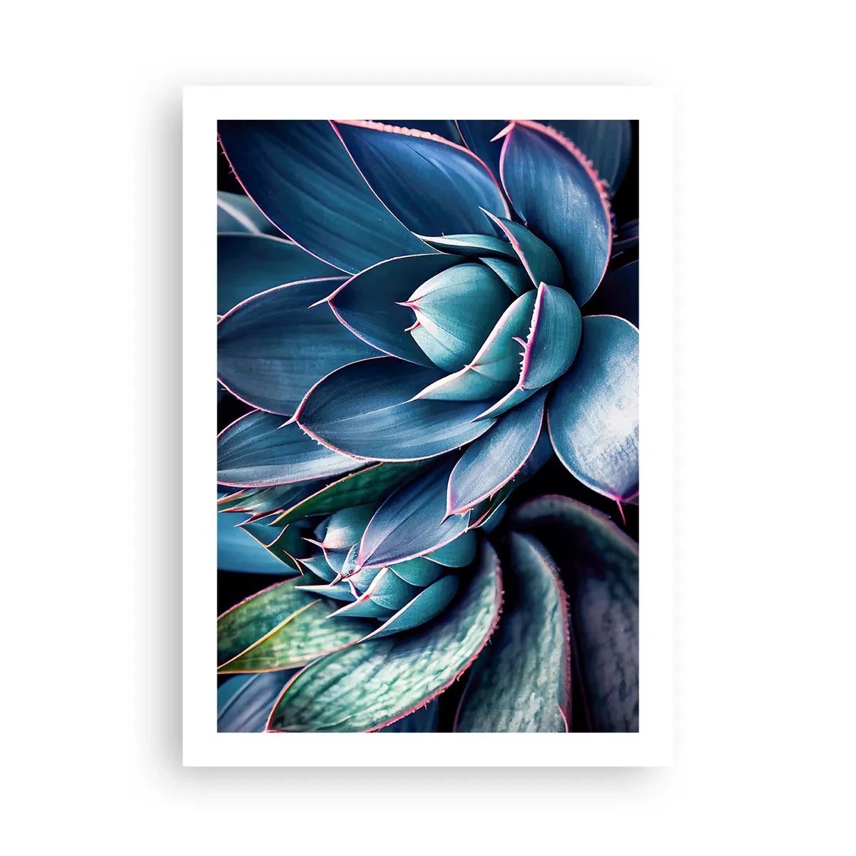 Plakat - Agawa w odcieniach niebieskiego i zieleni - 50x70cm - Witalna siła - Nowoczesna dekoracja ścienna do salonu, kuchni i sypialni ARTTOR