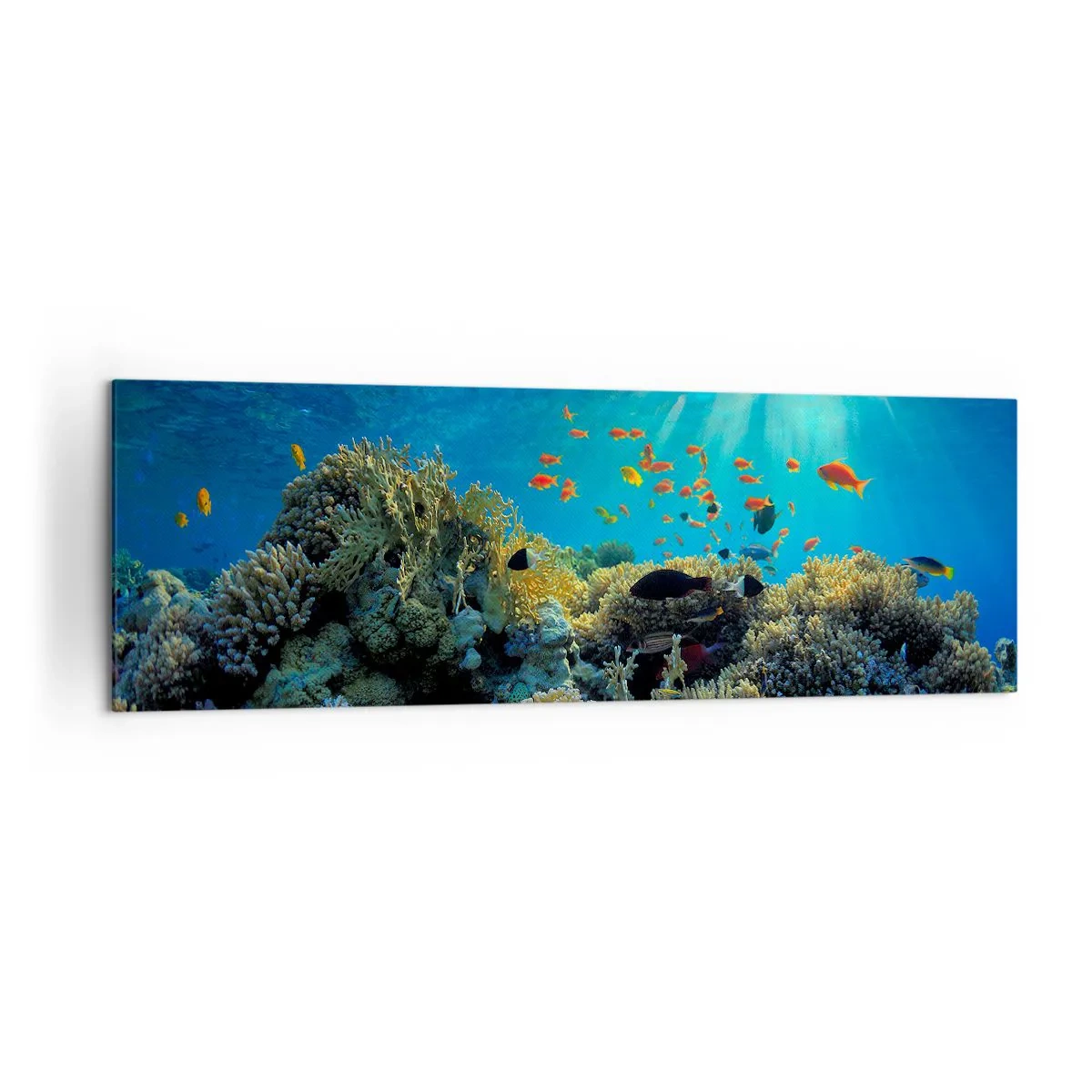 Obraz na płótnie - Rafa koralowa z rybami w promieniach słońca pod wodą - 160x50cm - Podwodne skarby - Nowoczesna dekoracja ścienna do salonu i sypialni ARTTOR