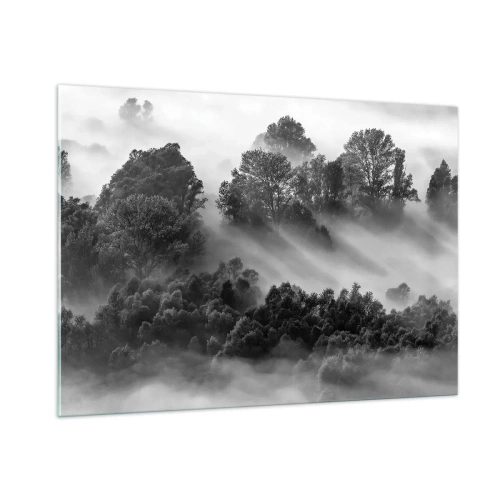Obraz na szkle - Mglisty las w promieniach słońca w czerni i bieli - 100x70cm - Wstający ze snu - Nowoczesna dekoracja ścienna do salonu, kuchni i sypialni ARTTOR