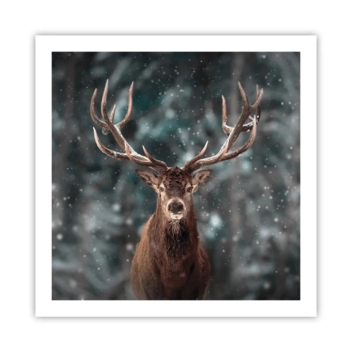 Plakat - Król lasu ukoronowany - 60x60 cm