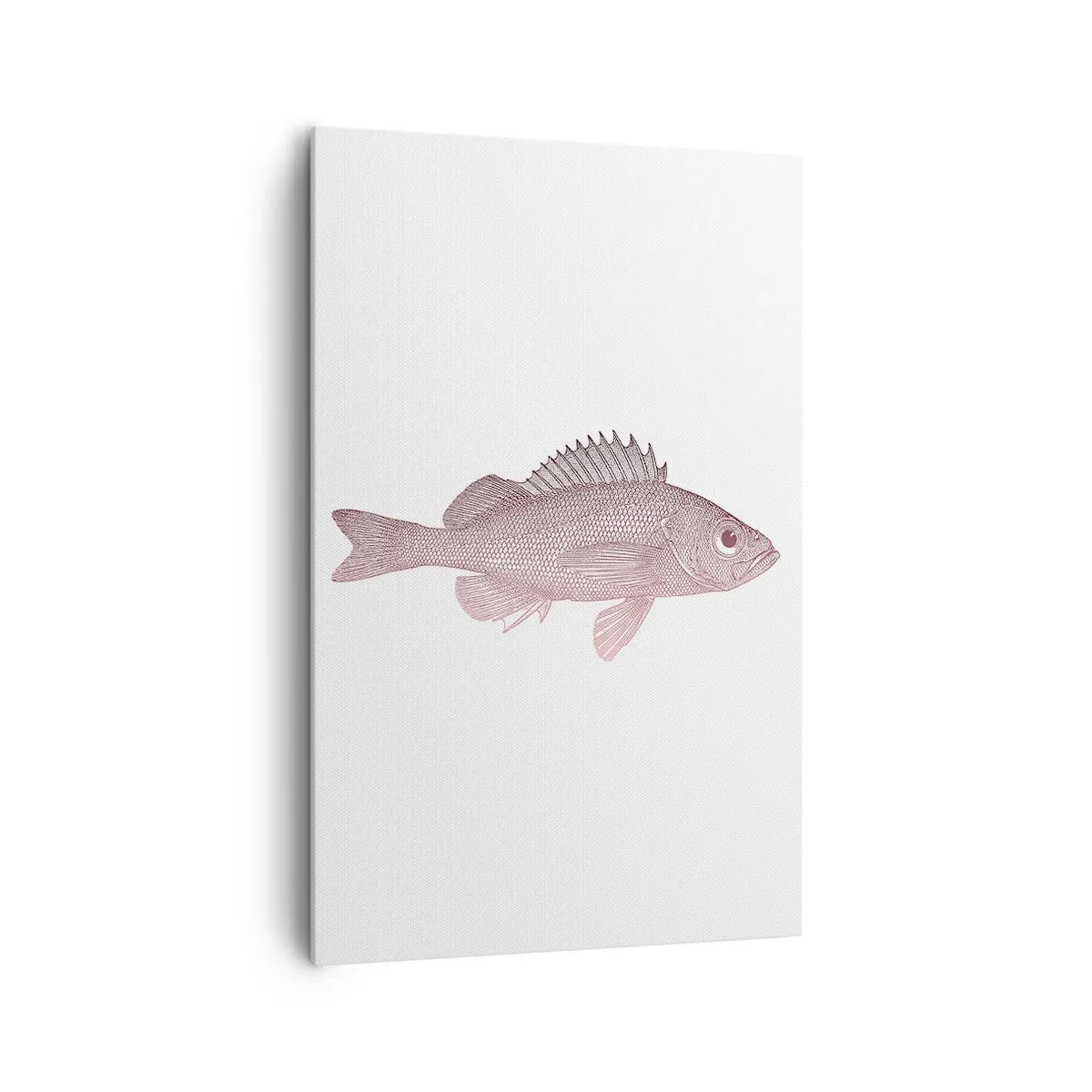 Obraz na płótnie - Szczegółowa ilustracja ryby na białym tle - 80x120cm - Ryba wielkooka - Nowoczesna dekoracja ścienna do salonu i sypialni ARTTOR