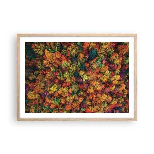 Plakat w ramie jasny dąb - Bukiet jesiennych drzew - 70x50 cm